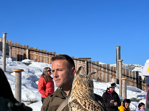 AdlerBühne Ahorn-玛莉霍芬必去景点