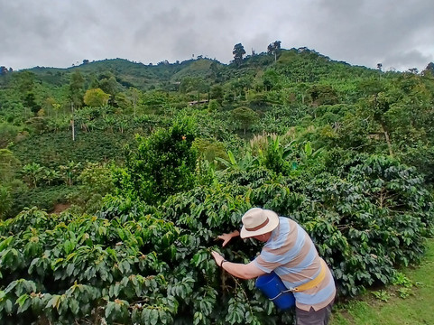 Gran Colombia Tours-波哥大必去景点