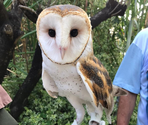 Parque Arvorar-Aquiraz必去景点