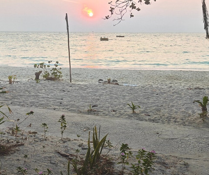 Ao Wai-罗勇必去景点