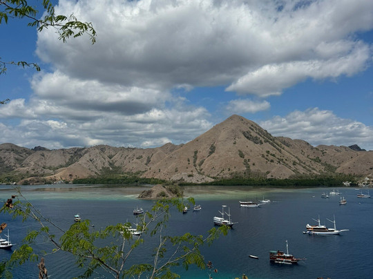 Komodo Cruises-科莫多必去景点