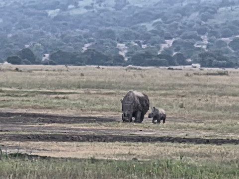 Akagera National Park Safari-Akagera必去景点