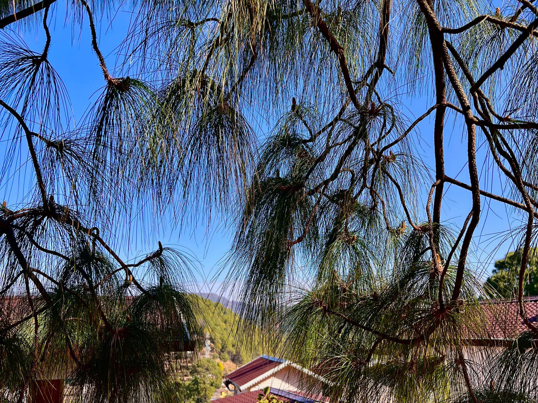 Hilltop Haven Hotel And Resort