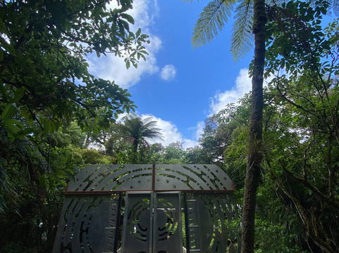 Tane Mahuta Walk-Opononi必去景点
