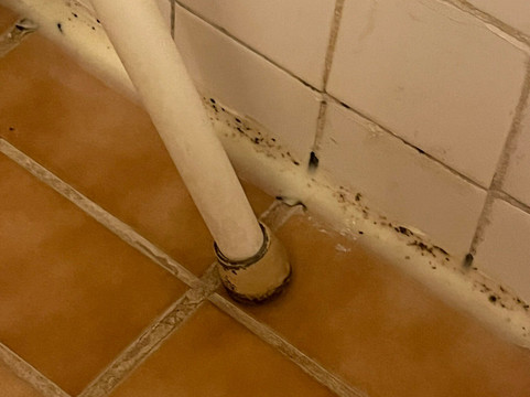 Super 8 by Wyndham Melrose主图