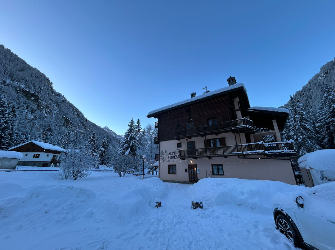Alpine Forest Hotel