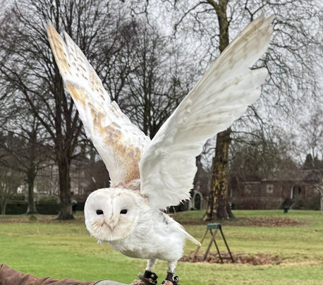 The Hawking Centre-Boughton Lees必去景点