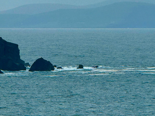 Dingle Peninsula-凯里郡必去景点