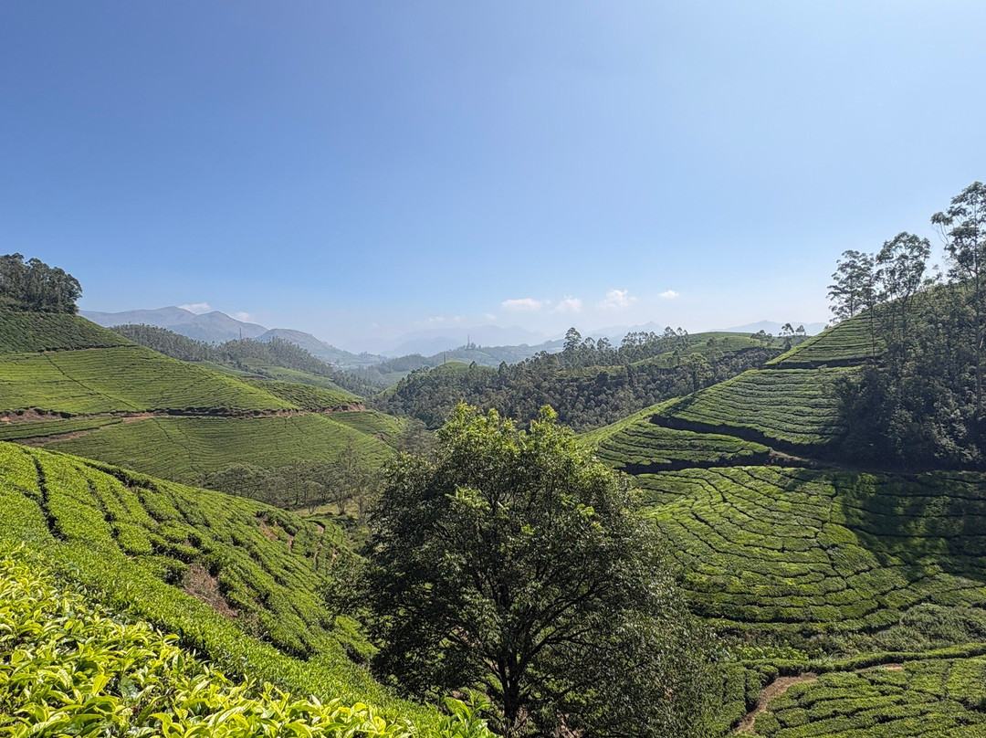 Suryatrips-Vizhinjam必去景点