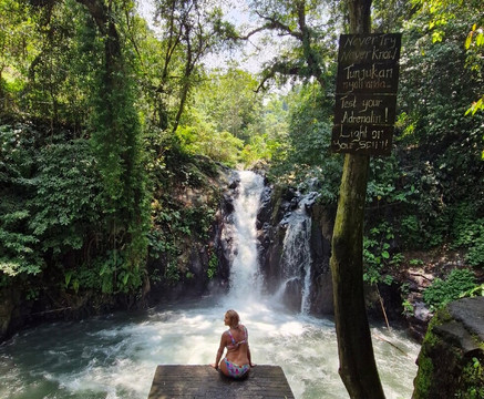 Menjangan Bali Driver Guide-佩母德兰必去景点