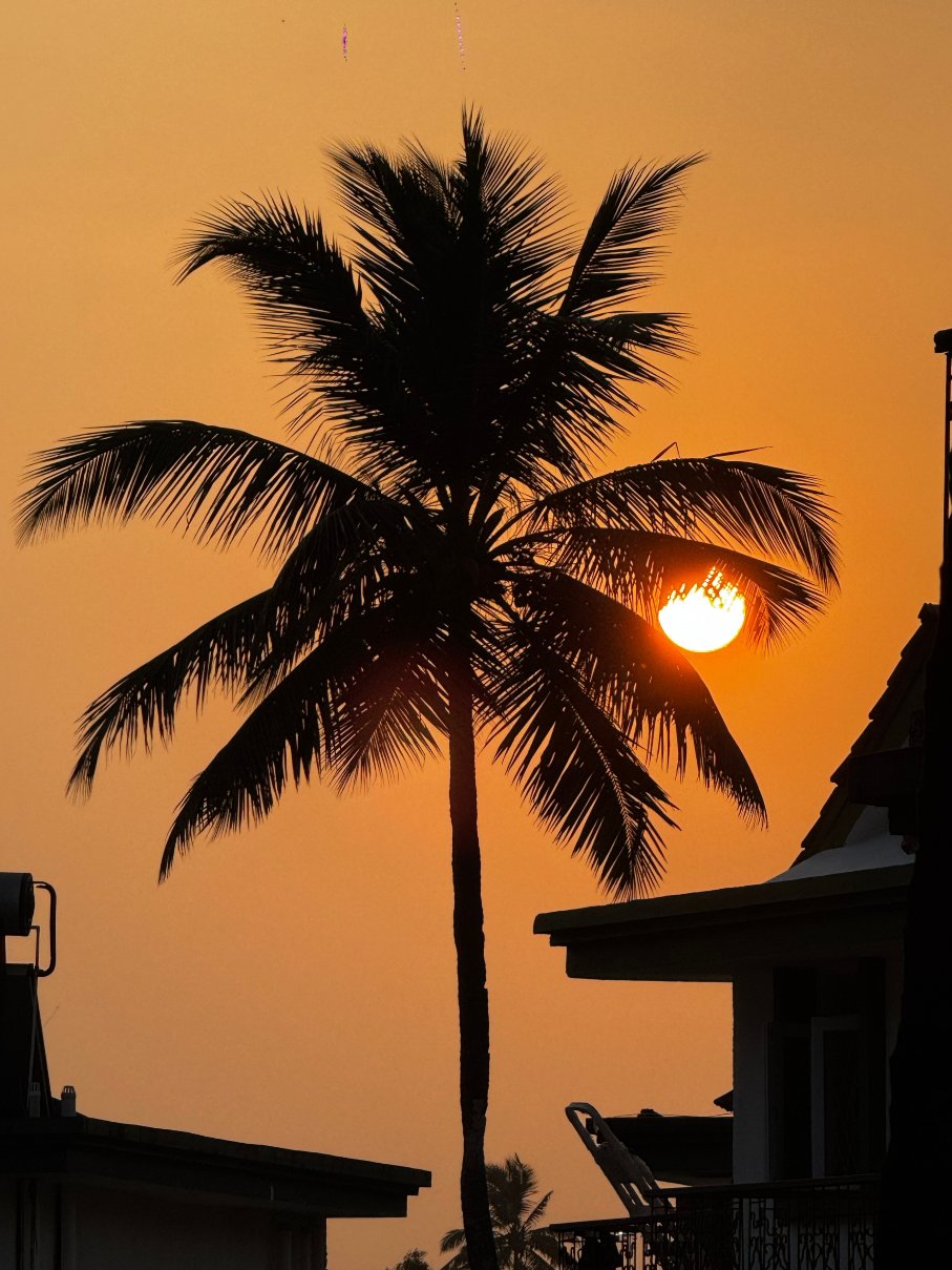 Karma Royal Palms-官方