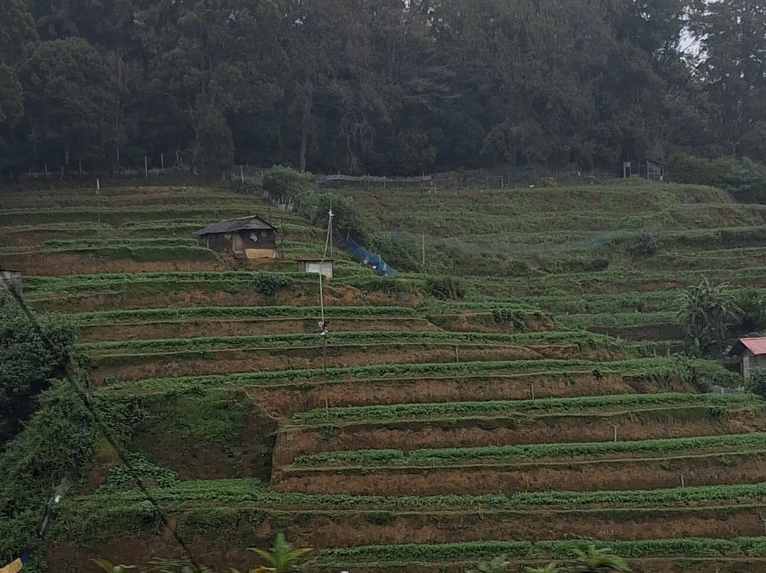 HelaCey Journeys - Sri Lanka-Gampaha必去景点