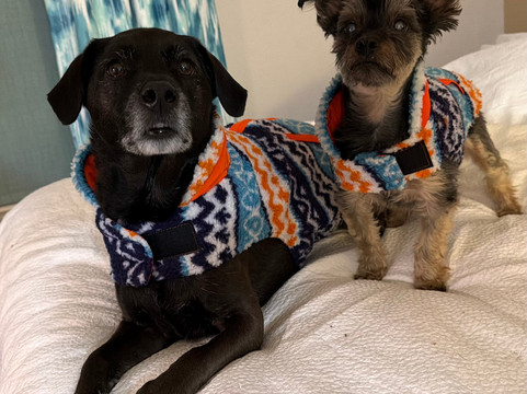 福尔松希尔顿花园旅馆主图