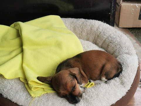 Tortuguero Life Tours-托图杰多必去景点