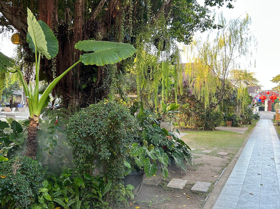 泳池公园度假村主图