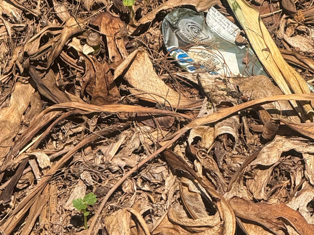 Vila dos Remedios-费尔南多-迪诺罗尼亚群岛必去景点