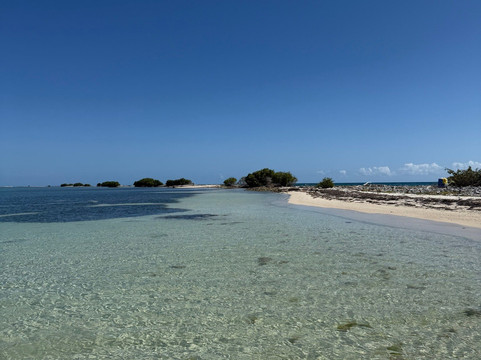 Sofrito Tours-波多黎各必去景点