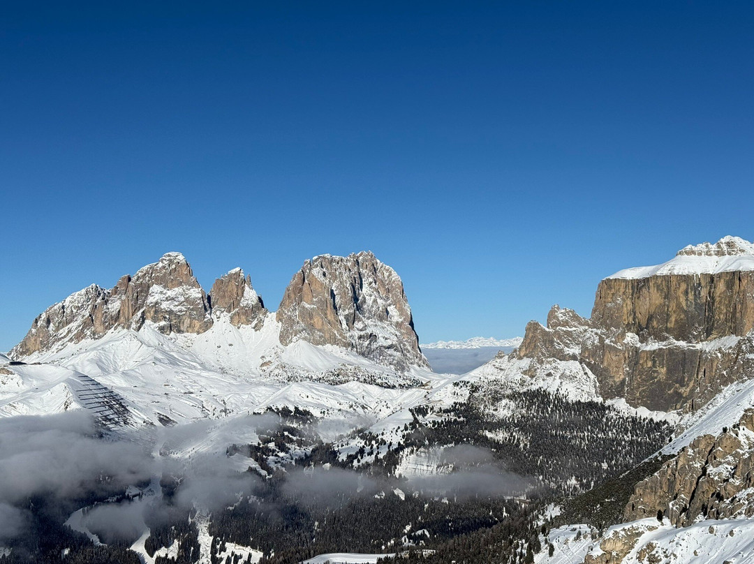 Mambo Ski Rent, Fun & Pro-Campitello di Fassa必去景点