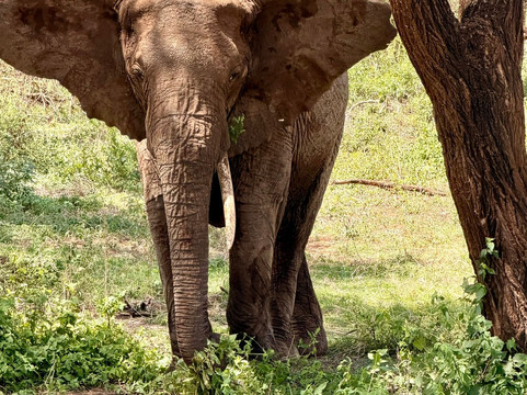 Zanleisuretours & Safaris-桑给巴尔市必去景点