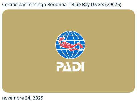 Blue Bay Divers Diving Centre-蓝湾必去景点