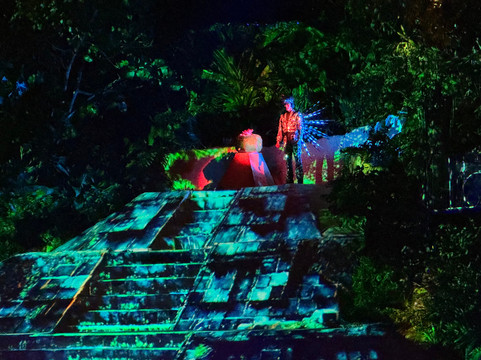 Rhythms of the Night by Vallarta Adventures-瓦拉塔港必去景点