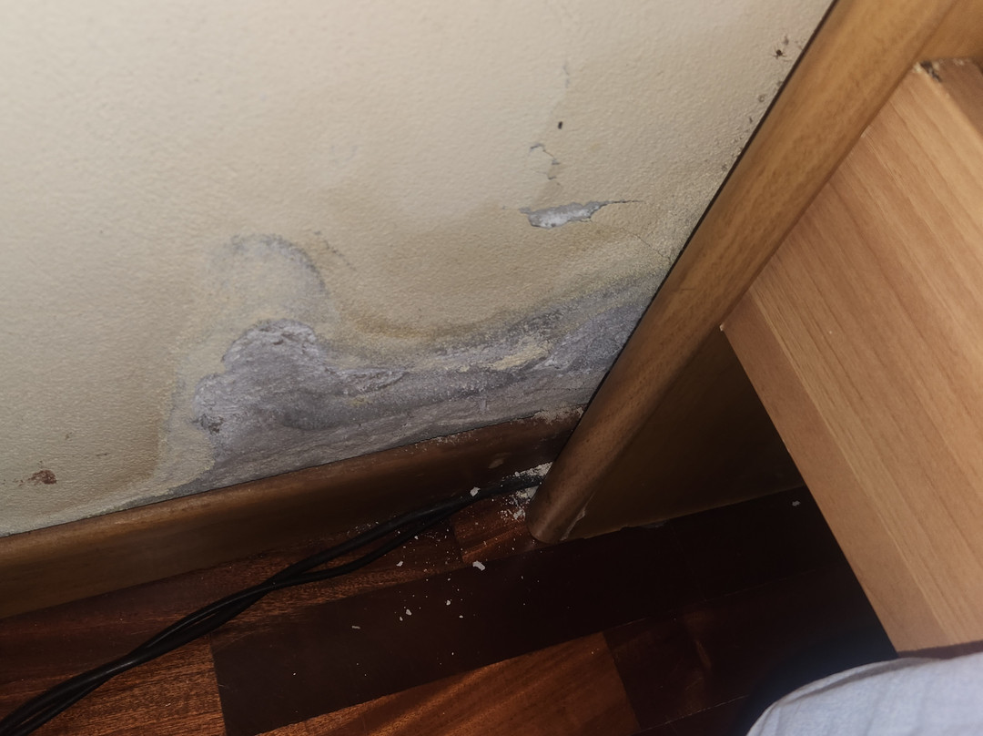 欢迎家庭旅馆主图