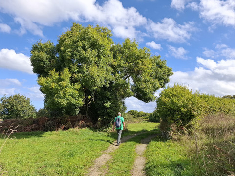 Circuit du Cairn de Barnenez