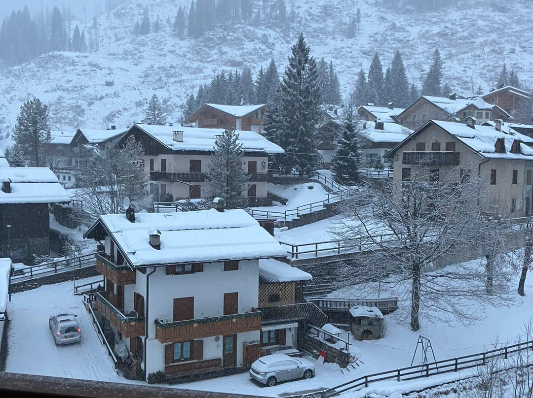 贝尔韦德雷酒店主图