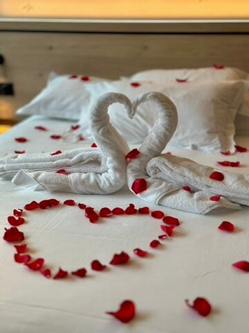 拉雷波塞酒店餐厅水疗中心主图