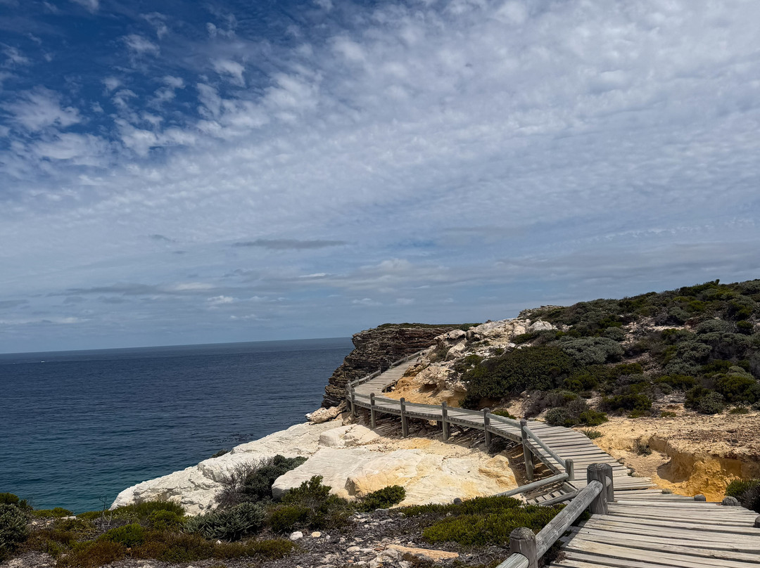 The Cape Town Tour Guide Co.-开普敦中心区必去景点