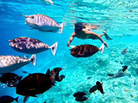 iCom Tours-马富士岛必去景点