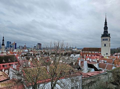 Viewing Point Kohtuotsa-塔林必去景点