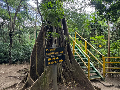 Rincon De La Vieja Volcano-Curubande必去景点