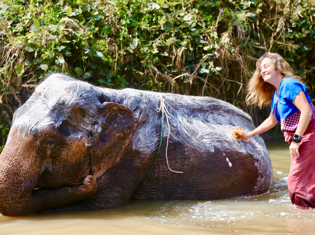 Karen Tribe Native Elephant-清迈必去景点