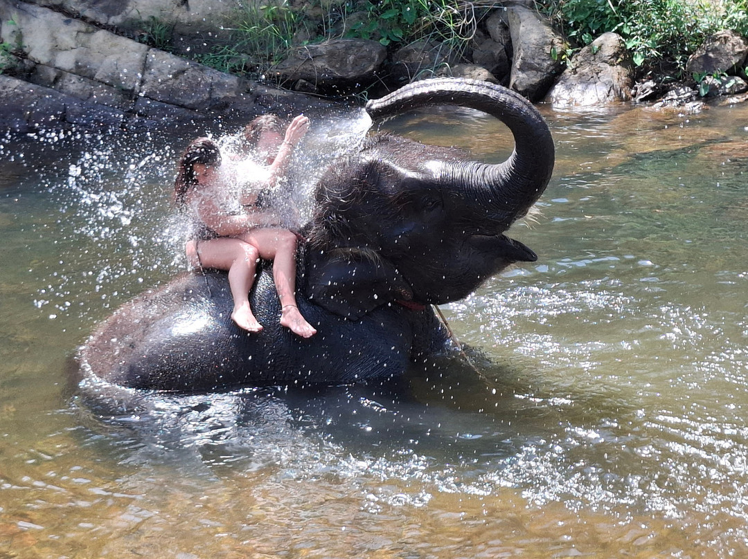 Andrea Vento Viaggi-Volla必去景点