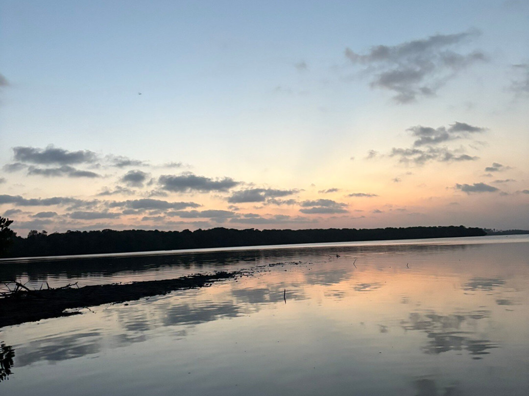 Mangi Kenya Safari-Malindi Marine National Park必去景点