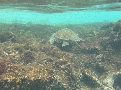 1000 Steps-博奈尔岛必去景点