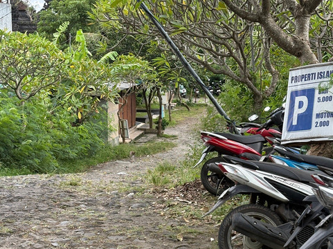 蓝色珊瑚礁海滩-曼吉斯必去景点