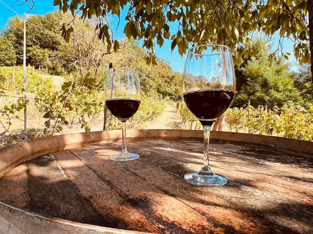 Azienda Vitivinicola Guazzotti-Gabiano必去景点