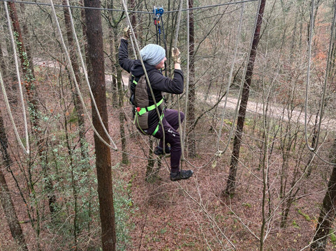 Go Ape Alice Holt-法纳姆必去景点