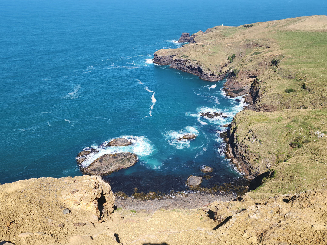 Clearwater Wildlife Tours-但尼丁必去景点