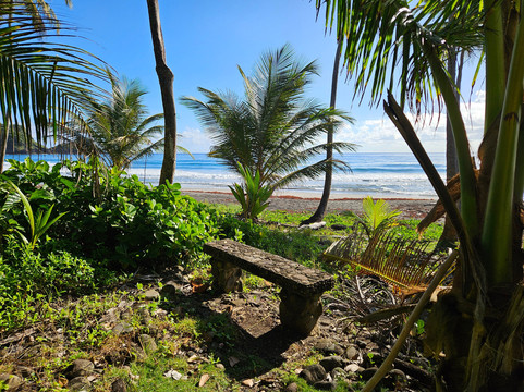 罗莎莉湾生态度假村及水疗中心主图