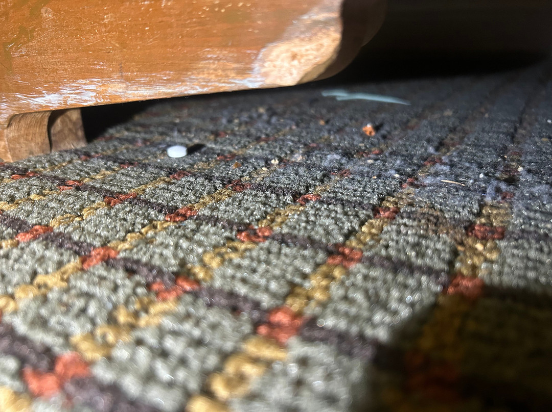 巴林顿酒店主图