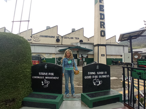 佩德罗茶工厂-奴娃拉伊利雅必去景点