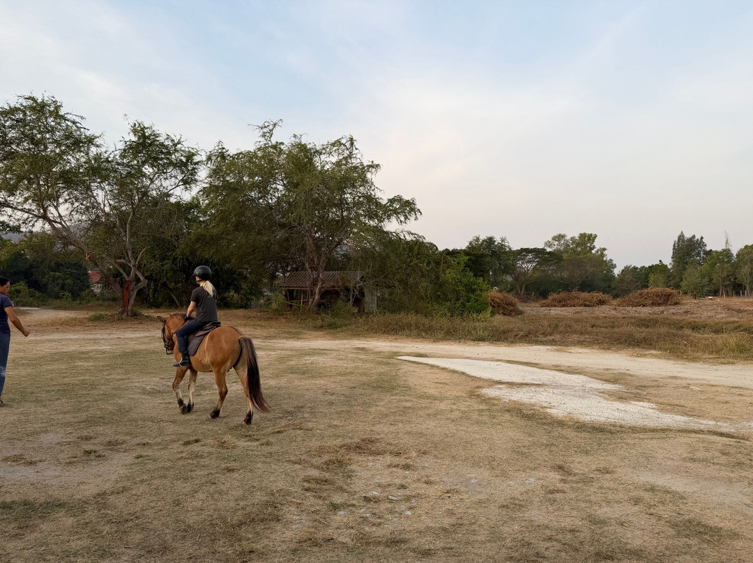 Hua Hin Horse Club-Nong Kae必去景点