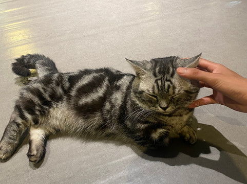 I-City Theme Park-莎阿南必去景点