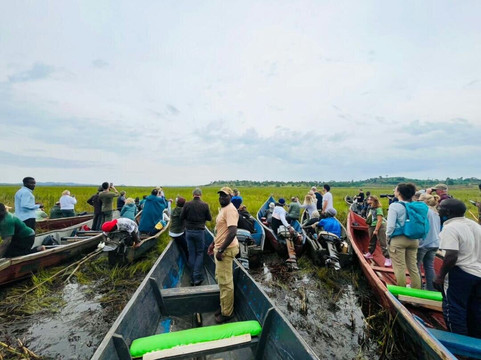 Mabamba Shoebill Uganda-恩德培必去景点