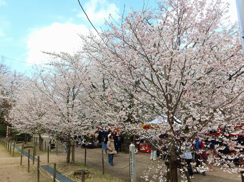 Ibuki Park-仓吉市必去景点