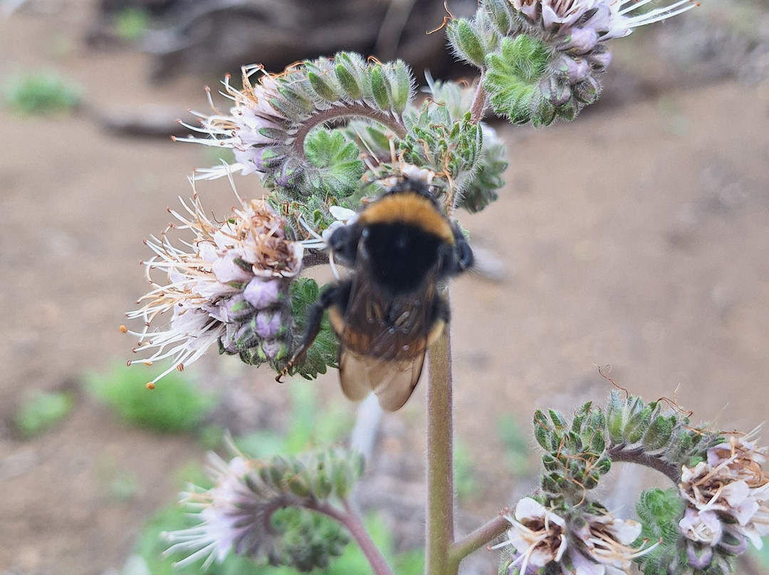 科拉尔克谷Spa酒店主图