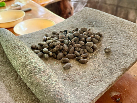 Finca Paraiso Organico-福德圣卡洛斯必去景点